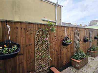 Picture 17